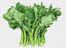 After draining well, you can add garlic or lemon juice to the collards to add a variety of flavor. Vegetable Leaf Vegetable Food Plant Mustard Greens Watercolor Paint Wet Ink Cruciferous Vegetables Flower Collard Greens Rapini Transparent Background Png Clipart Hiclipart