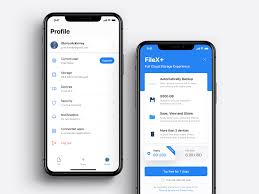 Cloud File Manager Filex Filex Management Business Risk