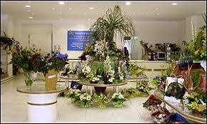 Les plus belles fleurs pour toutes les occasions. Orange Bleu Fleurs