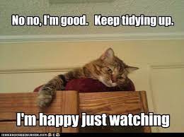 We tried to collect a wonderful collection of funny cat memes pictures that have won great contributions from users, and this package is suitable for all ages. Lolcats Clean Lol At Funny Cat Memes Funny Cat Pictures With Words On Them Lol Cat Memes Funny Cats Funny Cat Pictures With Words On