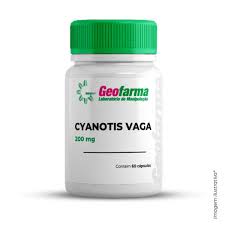Image result for Cyanotis vaga