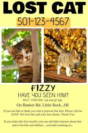 Lost Cat Lost Cat Losing A Pet Lost Cat Poster