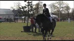 Maybe you would like to learn more about one of these? Fourteen Carrots Malin Baryard Johnsson A Small Treatise On My Favorite Rider