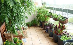 Image result for ‫تزیین بالکن با گل های آپارتمانی زیبا‬‎