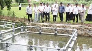 Tanbu Ingin Kembangkan Keramba Paralon Jaring Apung Banjarmasin Post