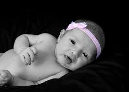 Camera Shi Photography