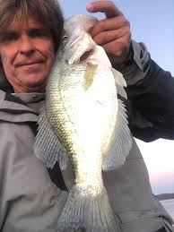 Crappie Fishing at Kentucky Lake