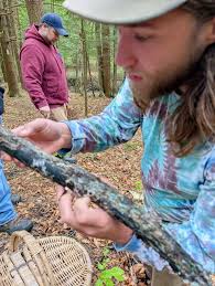 Wimodaughsian Library Canisteo