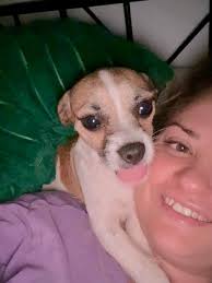 Josie....my mouse... <3 Chiuwawa and Jack Russell Mix