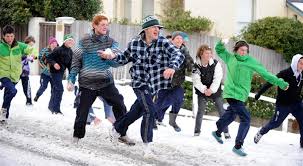 snowfall dunedin