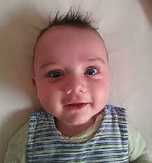 15. Falkensteiner Weinfest