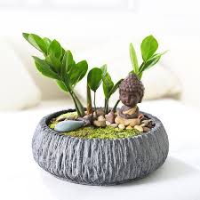 Simple Balcony Small Planter Little Milky Cream White Ceramic Succulent Plant Flower Pot Miniature Decoration Fl Succulent Pots Succulent Planter Buddha Garden Shop for buddha statues in garden statues.