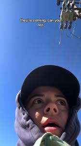 What Happened to Swooping Plovers?