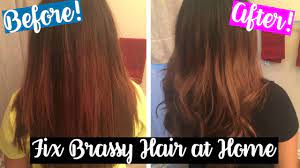 Fix Brassy Hair At Home Tone Out Reds Oranges Brassy Hair Hair Hair Fixing