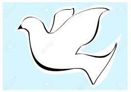 guvercin resmi boyama ile ilgili gorsel sonucu muthis