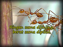 Semua penduduk kampung canggung bergotong royong membersihkan kawasan kampung mereka, bak kata pepatah berat sama dipikul,ringan sama dijinjing. Ringan Sama Dijinjing Berat Sama Dipikul Pepatah Melayu