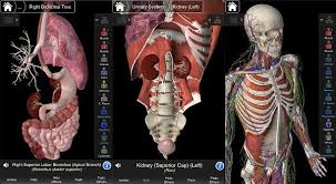 Primal pictures, visible body) as well as more detail in its models. 10 Android Apps To Learn Human Anatomy Mashtips