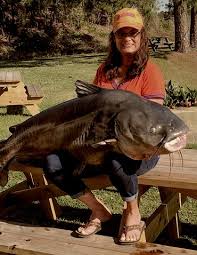 Photo from the sportex italia facebook page. World Record Catfish A List Of The Biggest Catfish Hookedoncatfish