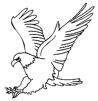 Simple free printable seahorse coloring pages for kids for boys. Eagles Coloring Pages And Printable Activities