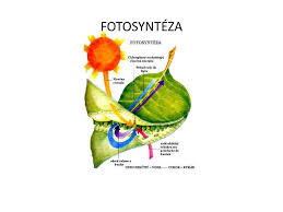 Ppt Vy 32 Inovace Ch1 06 Powerpoint Presentation Free Download Id 4058536