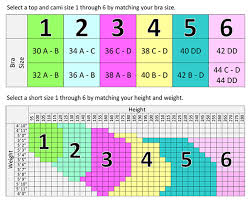 A R M Skin Essentials Dr Rey Shapewear Size Chart Fat Loss