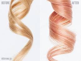 Ah Rose Gold Hair The Perfect Blend Of Pink And Red Mixed Into Golden Blonde That Adds A Touch Of Color To Your Ha Hair Color Pastel Rose Gold Hair Gold