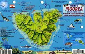 It is one of the windward islands, a group that is part of the socie. Moorea French Polynesia Map Reef Creatures Guide Franko Maps Laminated Fish Card Franko Maps Ltd Amazon De Bucher