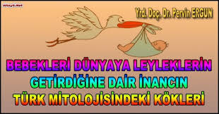 Bebekleri Dunyaya Leyleklerin Getirdigine Dair Inancin Turk Mitolojisindeki Kokleri Uzerine Inanc Tarih Turkler