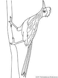 It was officially adopted in 1949 by new mexico legislature. Roadrunner Coloring Page 2 Audio Stories For Kids Free Coloring Pages Colouring Printables