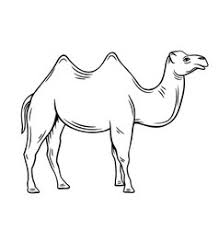 He or she seems to be prancing in the desert with some packages and a red blanket on her back. Black Camel Vector Images Over 1 800