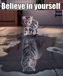 Believe It Yourself Cute Animals Animals Pets