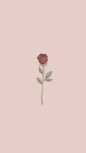 Find hd wallpapers for your desktop, mac, windows, apple, iphone or android device. Simple Rose Wallpapers Top Free Simple Rose Backgrounds Wallpaperaccess