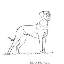 Great dane coloring pages are a fun way for kids of all ages to develop creat. Dane Dog Dog Coloring Page Great Dane Dogs