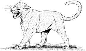 Select from 35919 printable coloring pages of cartoons, animals, nature, bible and many more. Leopard Coloring Pages Images Coloringbay