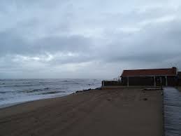 Daily & weekly rental available. Projects Gallery 2020 2021 Climate Detectives
