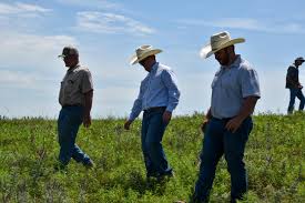 barta-brothers-ranch