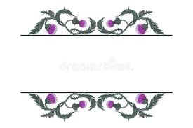 Scottish Thistle Stock Illustrations 543 Scottish Thistle Stock Illustrations Vectors Clipart Dreamstime Thistle illustration floral emblem of scotland. scottish thistle stock illustrations