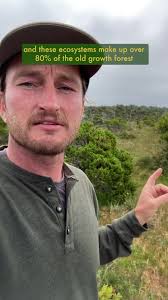 Sphagnum Moss Vs Forest Moss