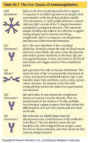 immunoglobulins and homoeopathy homeopathy world community