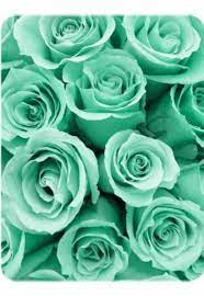 Maybe you would like to learn more about one of these? Pin By Jamie Joyce Stewart Opazo On Pinterest Mint Green Aesthetic Mint Green Wallpaper Mint Green Flowers