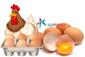 Telur bisa diolah menjadi banyak macam masakan,salah satunya yaitu telur dadar gulung. Gambar Kolase Telur
