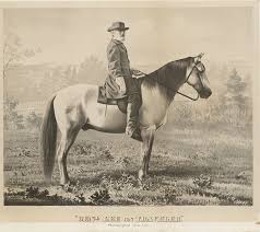Famous Horses Smithsonian Institution The civil war was the first war of industrialized animal power, demanding the massive mobilization of animals and their work in the 19th century.