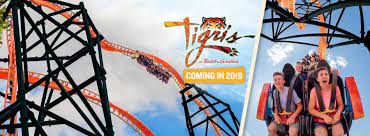 Busch gardens, 10165 n mckinley drive, tampa. New Tigris Roller Coaster Coming To Busch Gardens Tampa Bay In 2019 Busch Gardens Tampa Busch Gardens Tampa Bay Florida Theme Parks