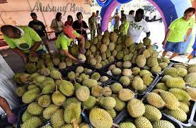We did not find results for: Inix Duria Manufacturing To Tap Into Durian Industry Money Malay Mail
