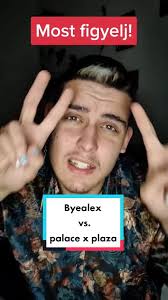 @itsbyealexbitch -nek nagyon igaza van! 🤘 Ilyen előadók nem kellenek  ide... #sztárdizájner #byealex #xfaktorhu #thepalace #imiplaza #botrány