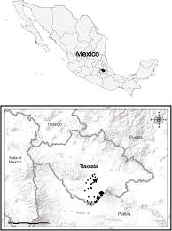 Näytä lisää sivusta tlaxcala f.c. Folk Classification Of Wild Mushrooms From San Isidro Buensuceso Tlaxcala Central Mexico Journal Of Ethnobiology And Ethnomedicine Full Text