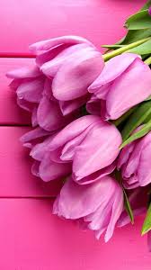Hightlights * snorkeling and scuba diving * hotels, guesthouses and resorts. Pin De Billy Winnie En Pink Flores Fondos De Flores Flores Tulipanes