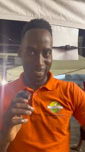 Nipping diabetes in the bud"