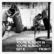 We did not find results for: Muay Thai Inspirational Quotes Quotesgram