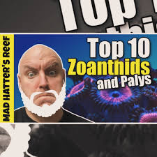 Jeff Hesketh (@madhattersreef) • Instagram photos and videos